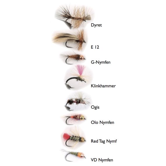 Roffes Trout Flies 8-pack i gruppen Madding / Fluer / Fluesæt hos Sportfiskeprylar.se (WFB1210)