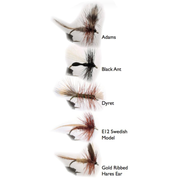 Dry Fly 2 5-pack i gruppen Madding / Fluer / Tørfluer hos Sportfiskeprylar.se (WFB124)