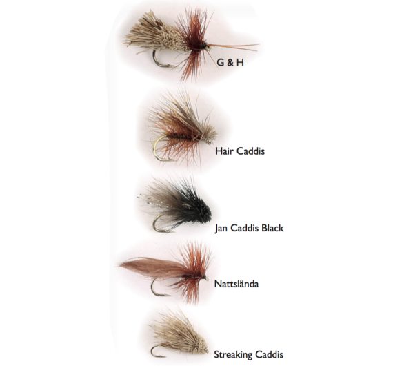 Dry Fly Sedges 5-pack i gruppen Madding / Fluer / Tørfluer hos Sportfiskeprylar.se (WFB125)