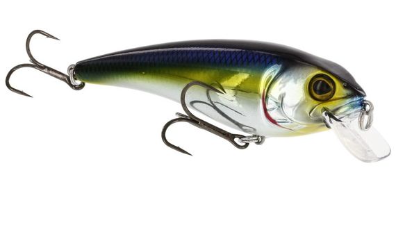 Westin RawBite 11cm 27g Low Floating i gruppen Madding / Crankbaits / Crankbaits til lavt vand hos Sportfiskeprylar.se (WS14112r)
