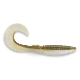Arkansas Shiner
