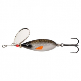 Bream