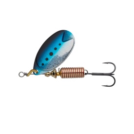 Sardine