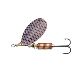 Roach
