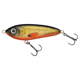 Golden Minnow