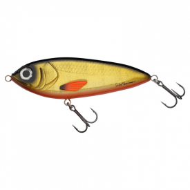 Golden Minnow