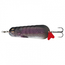 Rainbow Trout