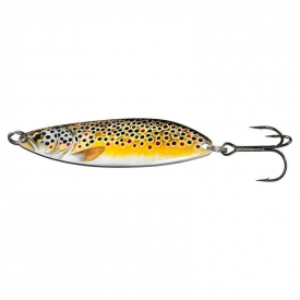 Trout