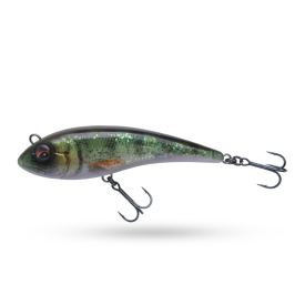 Golden Perch