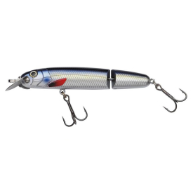Blue Herring