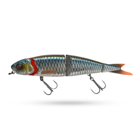 Roach