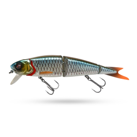 Roach