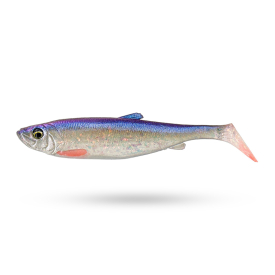 Herring
