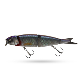 Herring