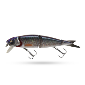 Herring