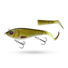 Tench