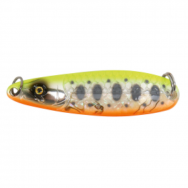 Abalone Yellow Yamame