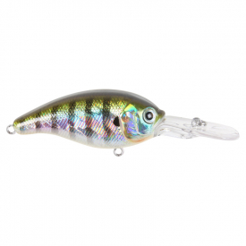 Blue Gill