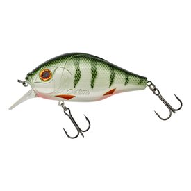 Green Perch
