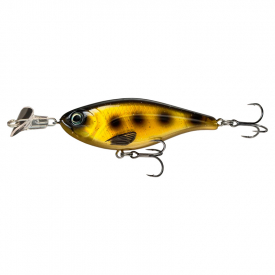 Spotted Bullhead