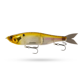 Chrome Gizzard