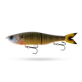 Live Bluegill