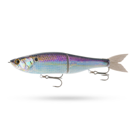 Live Gizzard Flash
