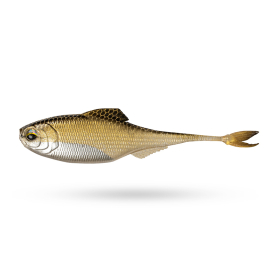 Golden Shiner