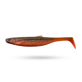 Motoroil Hot Tail