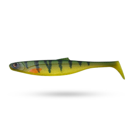 Yellow Perch