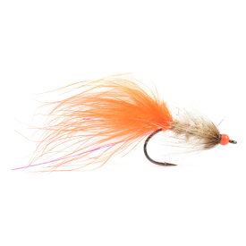 P3/ Fl Orange