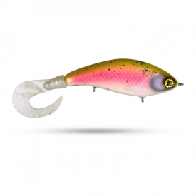 Olive Rainbow Trout