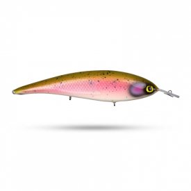 Olive Rainbow Trout