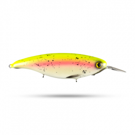 Hotback Rainbow Trout