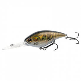 Brown Gold Tiger