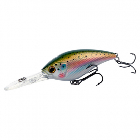 Rainbow Trout