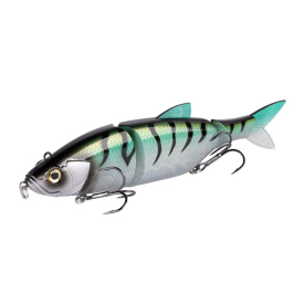  Mackerel