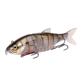 Wakasagi Tiger