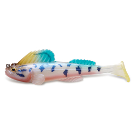 Biwako Yoshinobori 