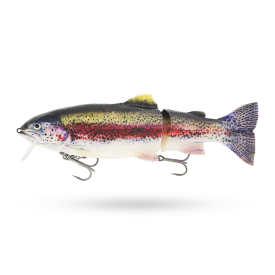 Real Rainbow Trout