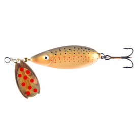 Wild Trout