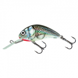 Holographic Grey Shiner