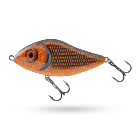 Copper Roach