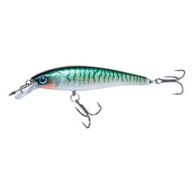 Stickleback