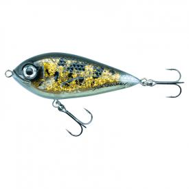 Lake Miltona Walleye