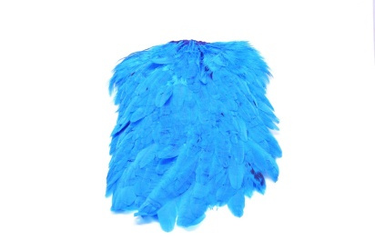 FutureFly Signature Hen Saddle - King Fisher Blue