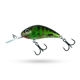 Salmo Rattlin Hornet Floating