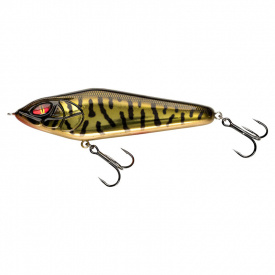 Daiwa PX Lazy Jerk 120SS - Golden Burbot