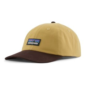 Patagonia P-6 Label Trad Cap LYTN