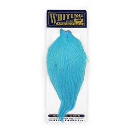 Whiting American Rooster Cape White dyed Silver Dr. Blue